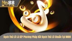 Bạch thủ lô là gì