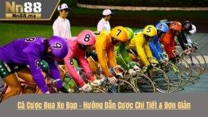 Cá cược đua xe đạp