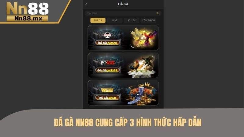 Đá gà NN88 cung cấp các trận đấu với hình ảnh sắc nét
