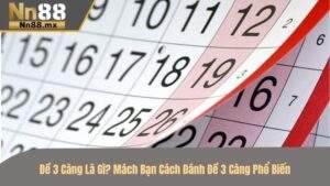 Đề 3 càng là gì