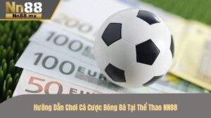 Cá Cược Bóng Đá